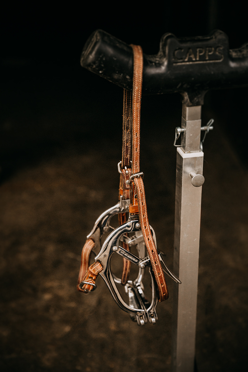 Maulgatter und Kopfständer