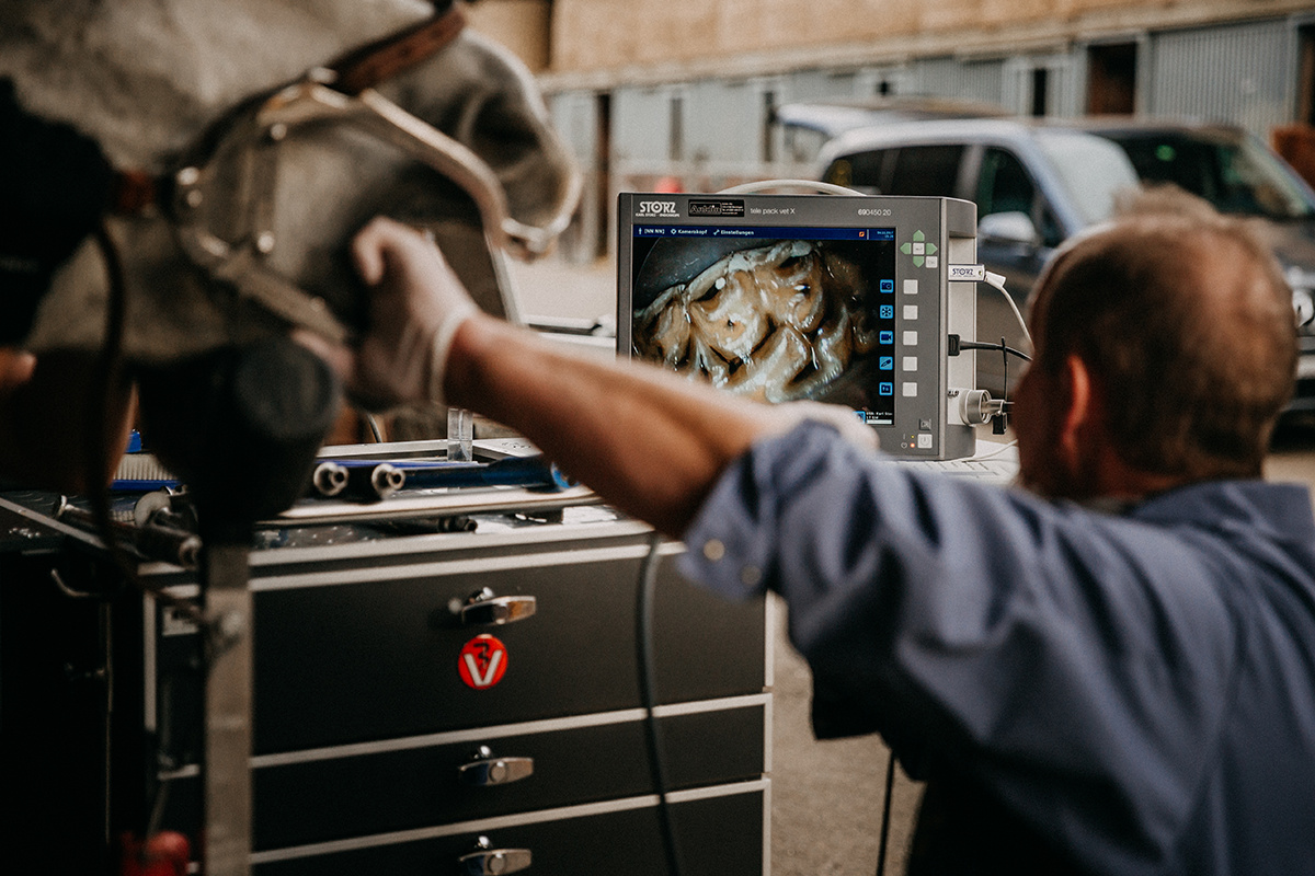 Intraorale Endoskopie