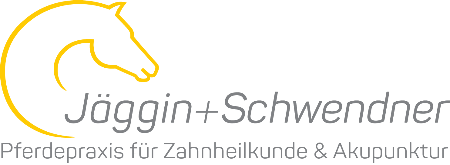 Jäggin + Schwendner